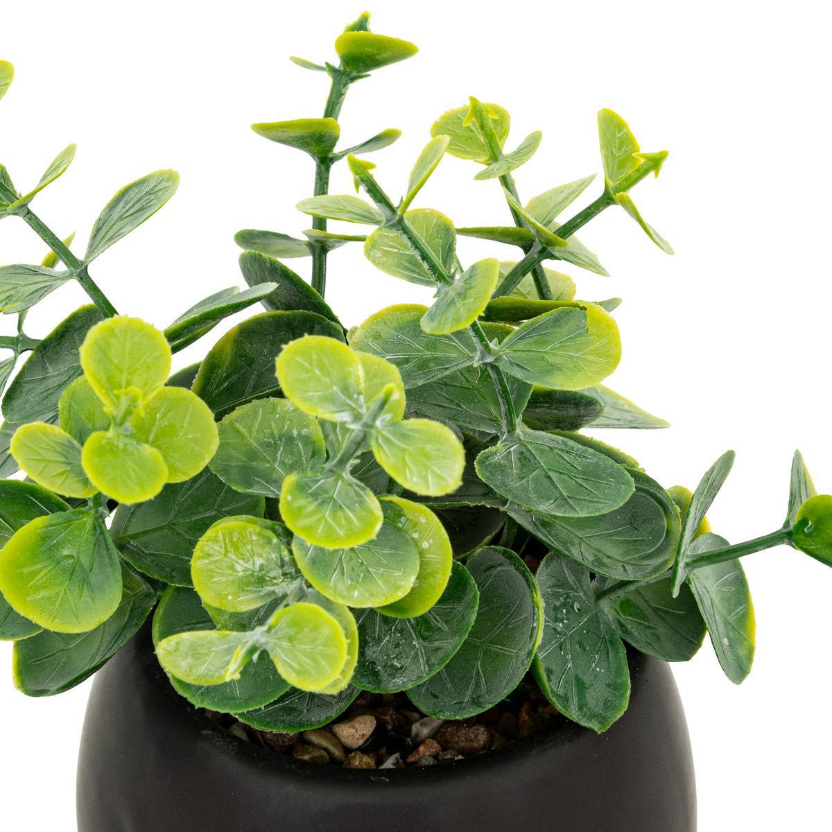 Atmosphera - Plante artificielle Livy pot céramique H17cm - Atmosphera Créateur d'intérieur - Imagen 4