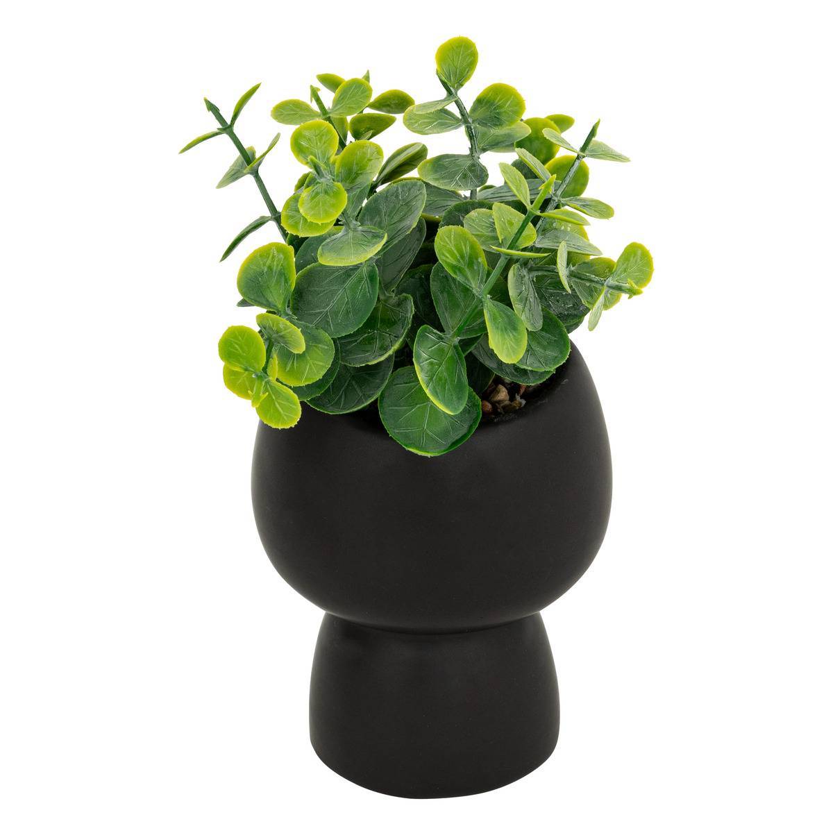 Atmosphera - Plante artificielle Livy pot céramique H17cm - Atmosphera Créateur d'intérieur - Imagen 1
