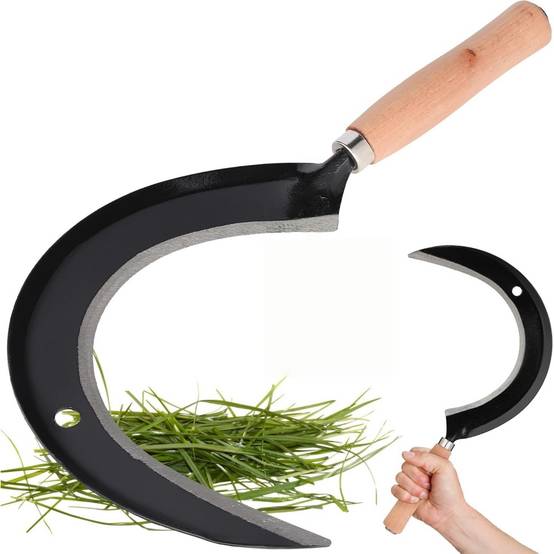 Faucille Jardin 23cm Lame Acier Manche Bois pour Désherbage - Living123 - Image 1