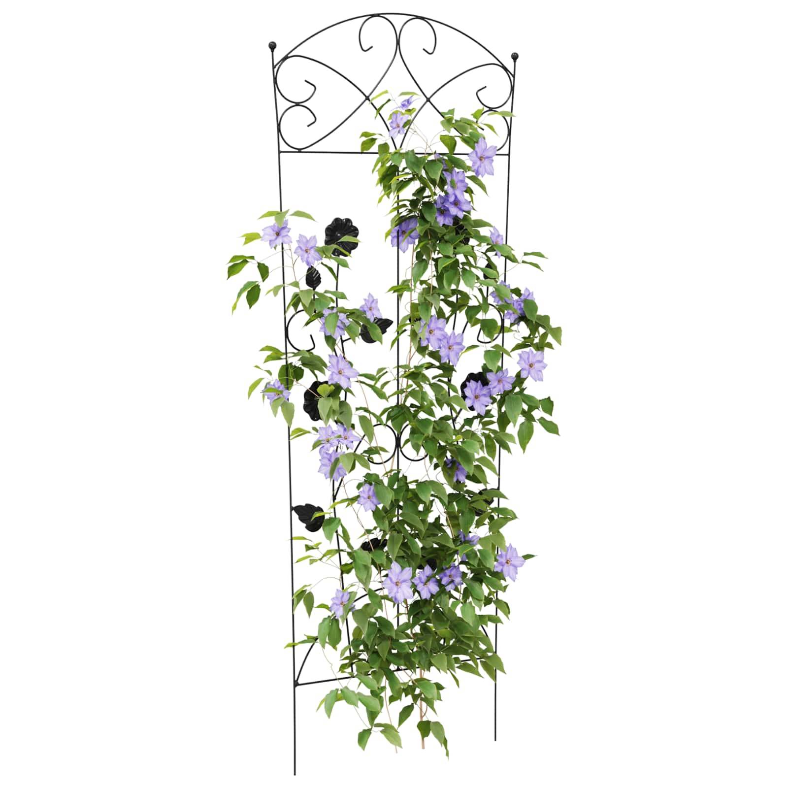 Clôture Décorative Acier Noir Lot de 3 Treillis pour Jardin et Terrasse 112x40cm - ComfortXL Outdoor Living - Image 3
