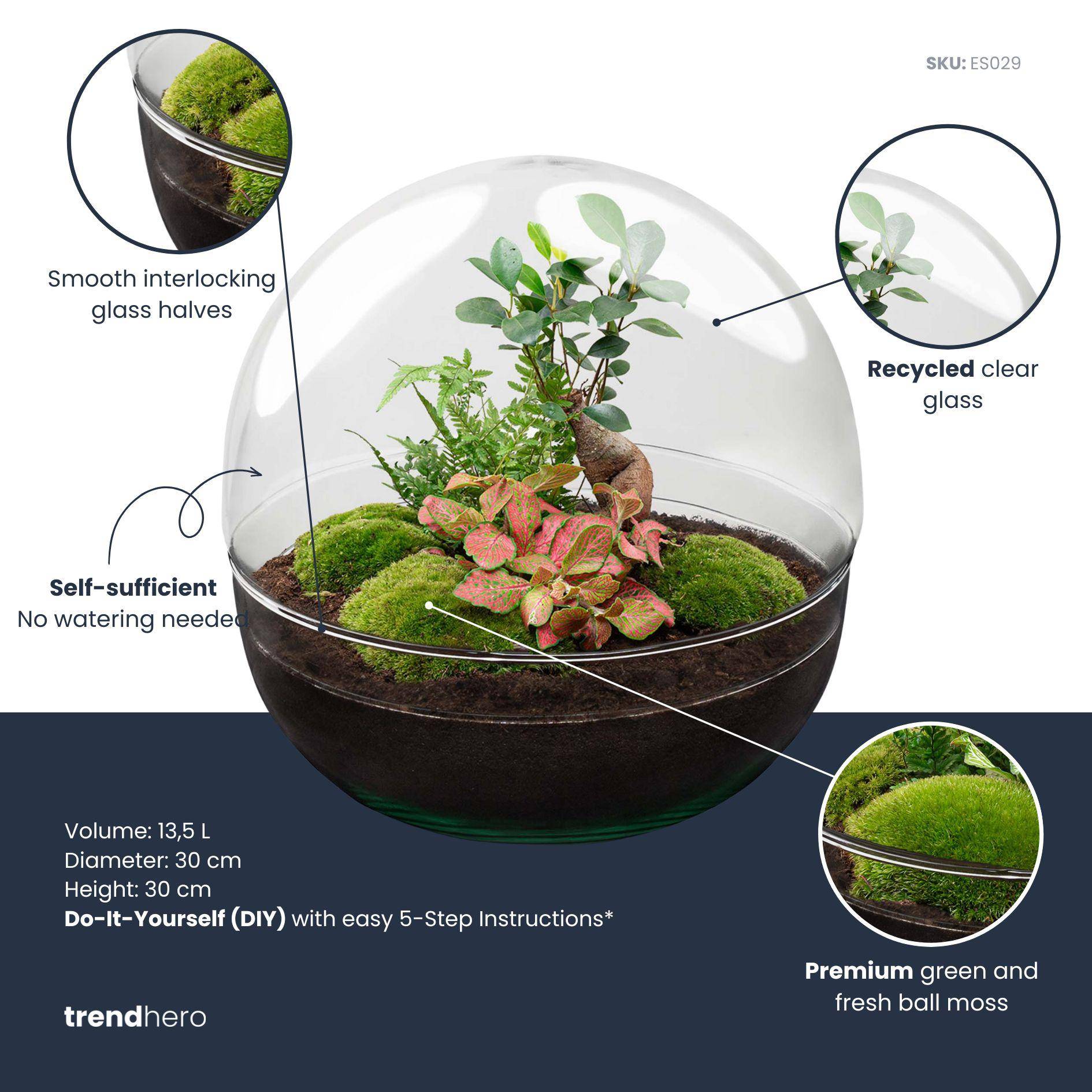 Terrarium à composer boule en verre recyclé - Ø30-H30cm - avec râteau et pelle - Ficus Ginseng - Terrarium DIY - Image 3