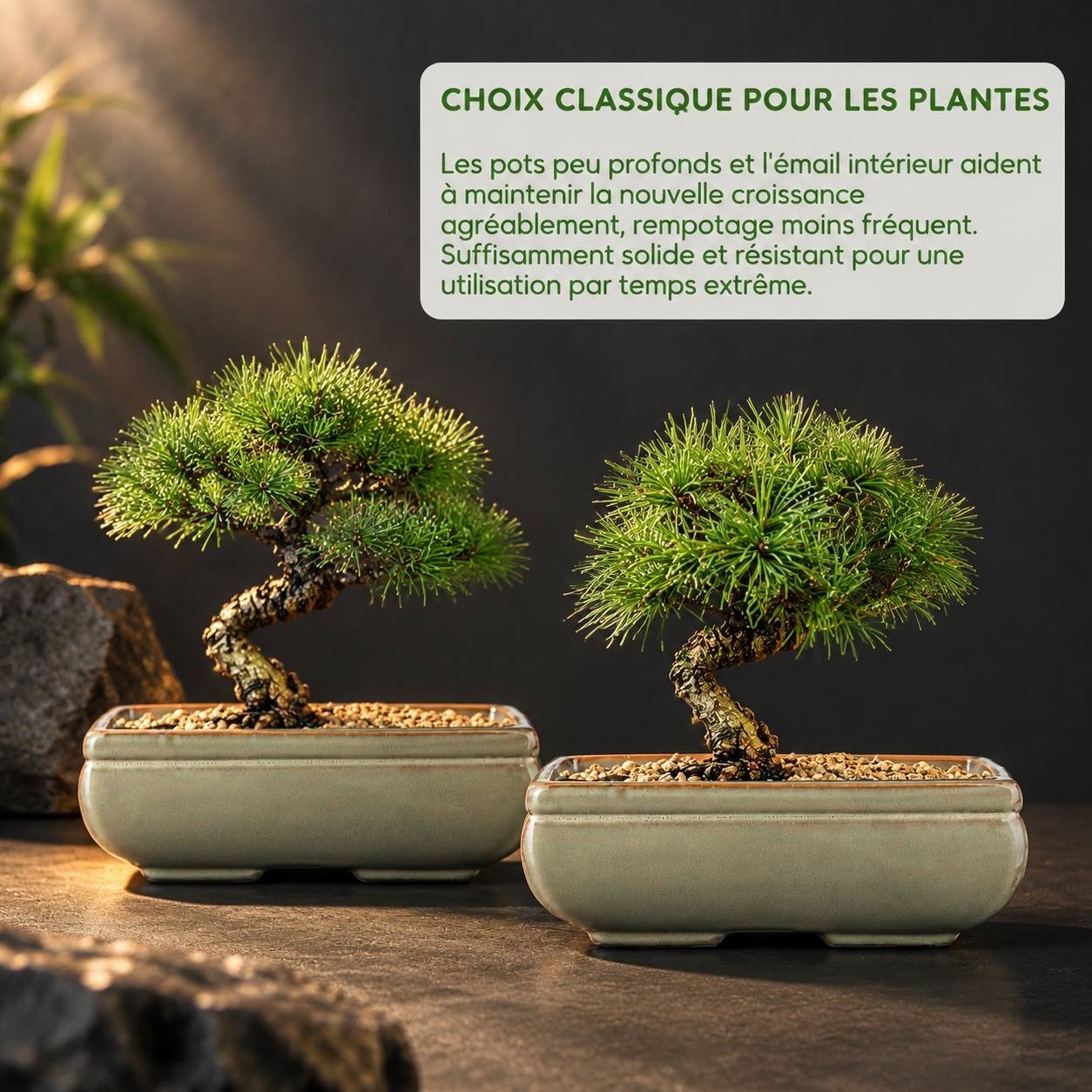Lot de 2 Pots Céramique Plantes Intérieures/Extérieures Avec Trous Drainage Décoration Rétro - Image 3