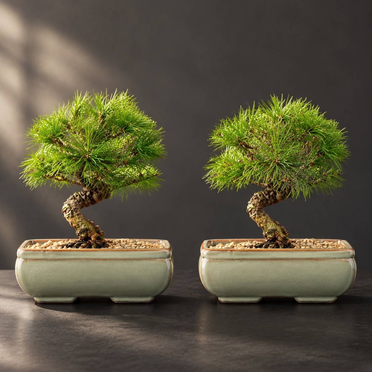 Lot de 2 Pots Céramique Plantes Intérieures/Extérieures Avec Trous Drainage Décoration Rétro - Image 5