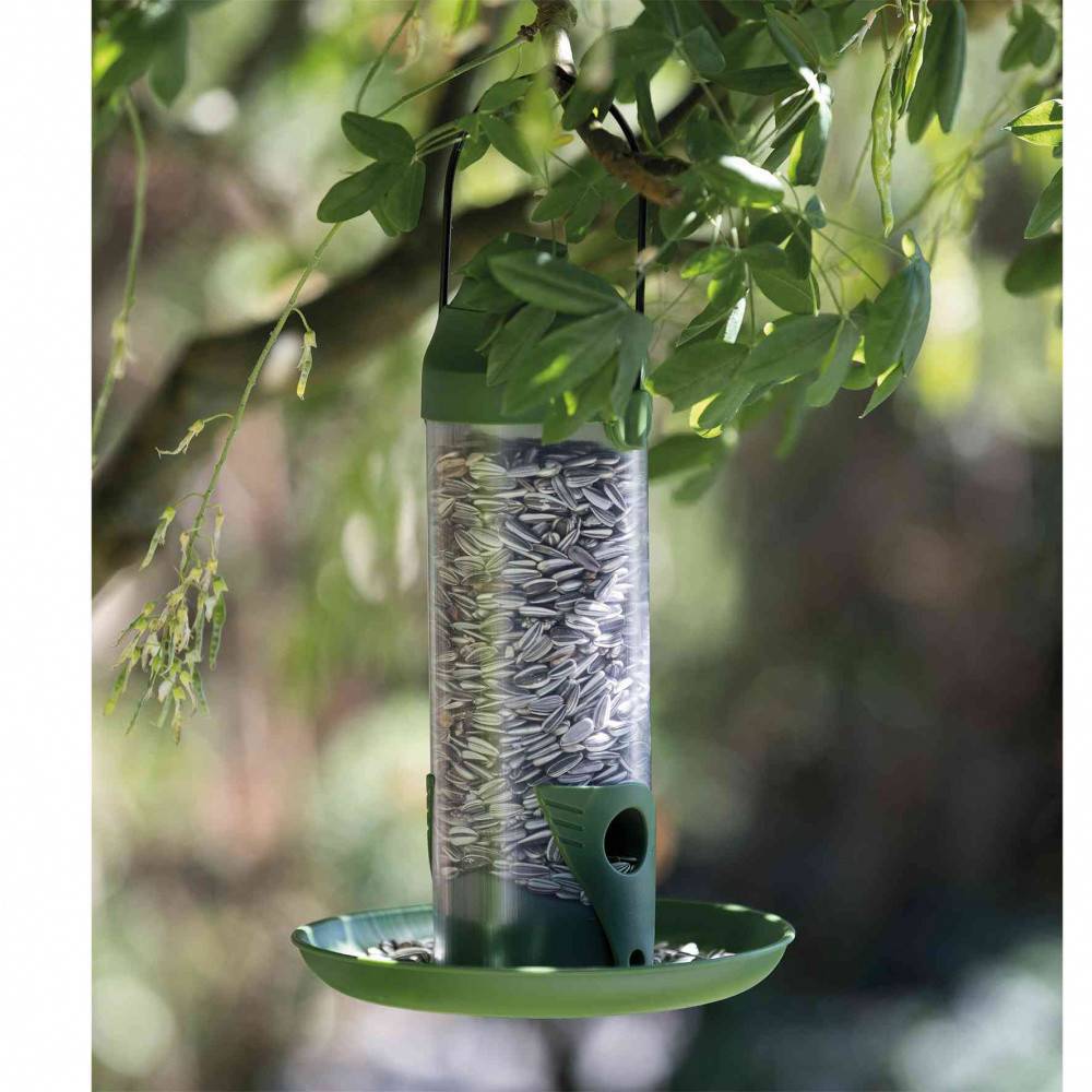 Mangeoire extérieure, 500 ml / 22 cm pour oiseaux - Imagen 4