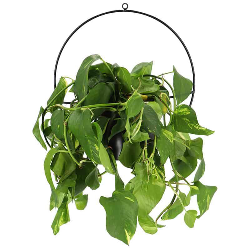 Esschert Design - Pot de fleurs mural ou à suspendre 36cm - Esschert Design - Imagen 4