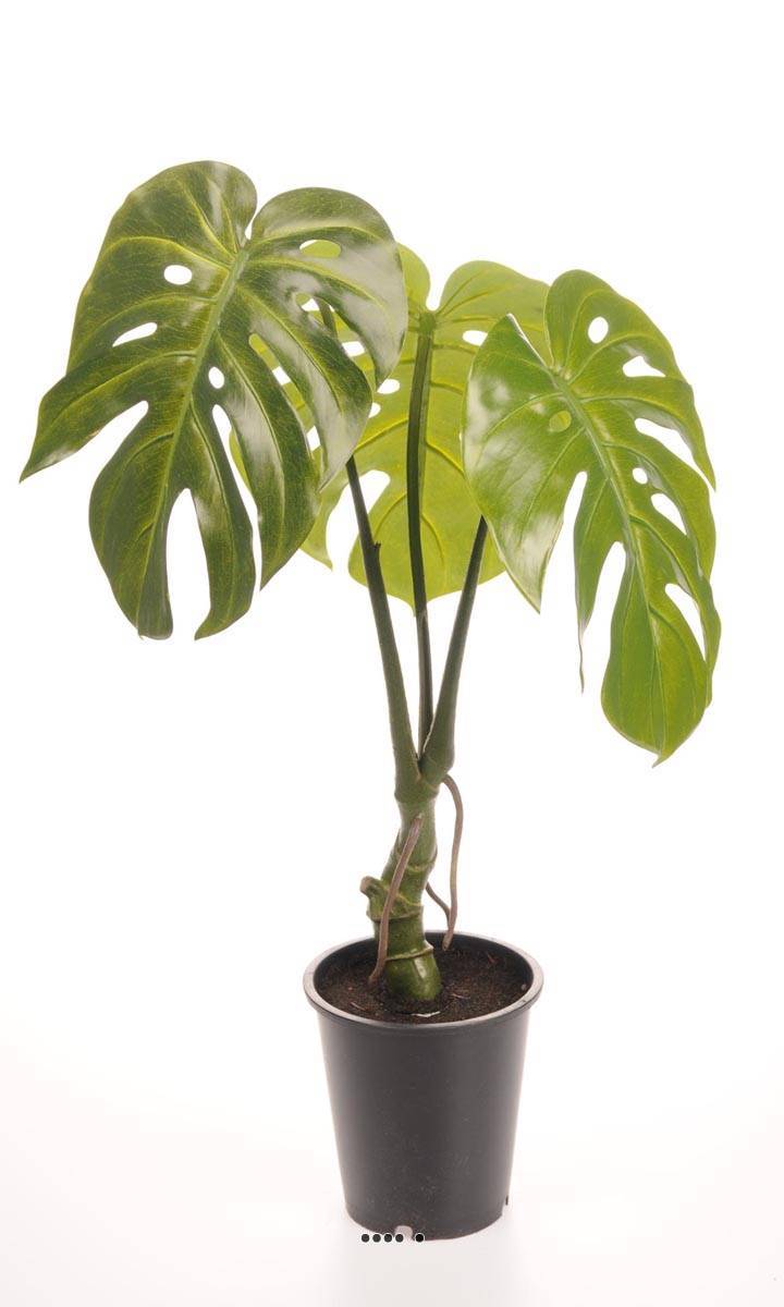 Artificielles - Monstera deliciosa artificielle en pot H 60 cm, D 42 cm - Imagen 1