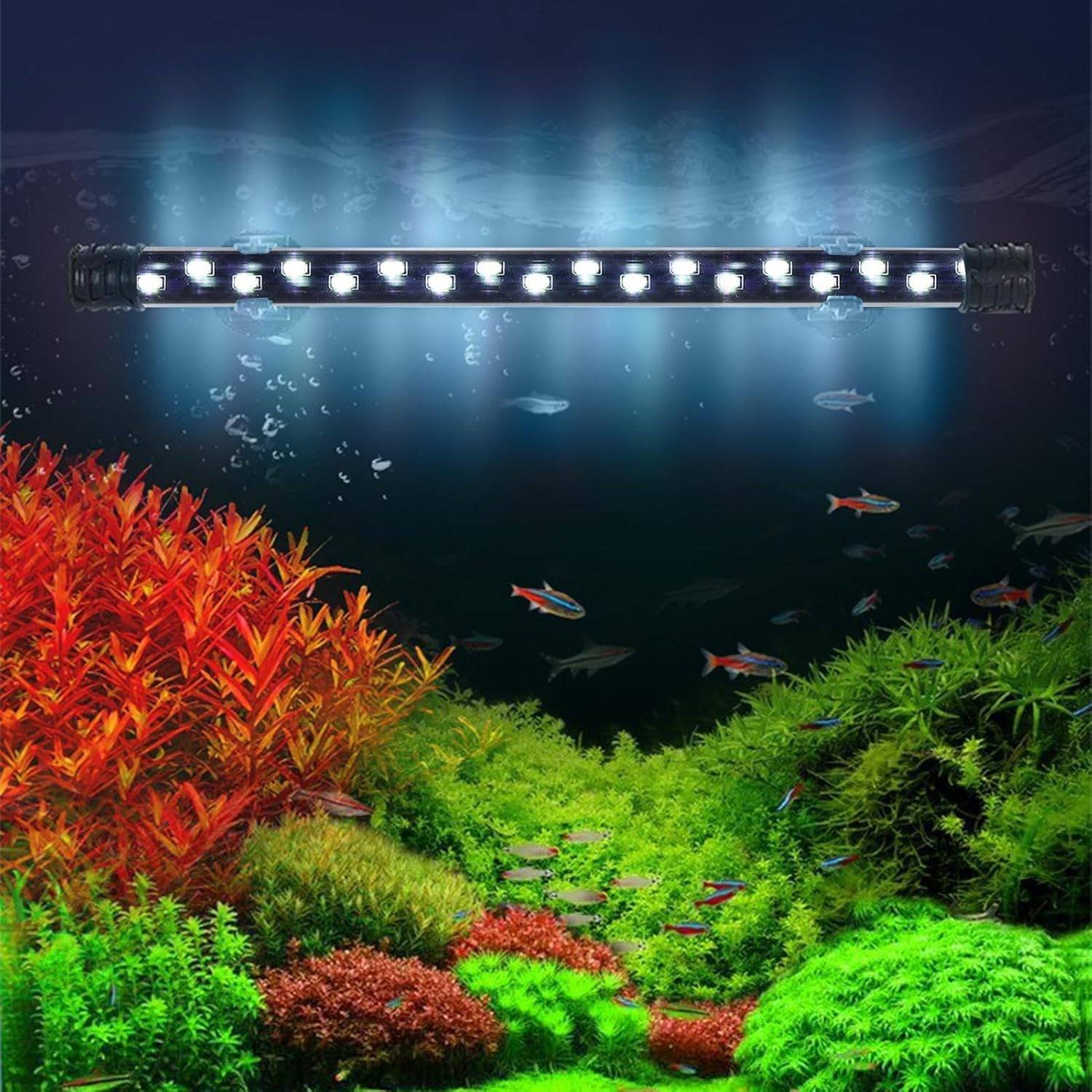 DtopbuyAge - Bande LED Submersible pour Aquarium - Éclairage Étanche M DtopbuyAge - Image 2