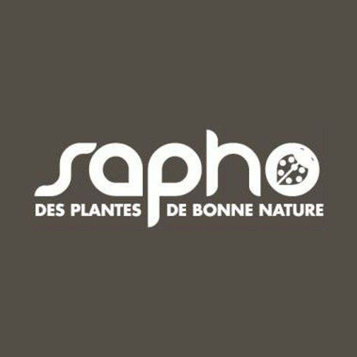 Baie de Goji Princess Tao® 'Fpw03' à fleurs Violette - feuillage Caduc - Pot de 3L - Echelle bambou 60/120 cm-  hauteur à maturité De 2,00 m à 2,50 m - Imagen 9