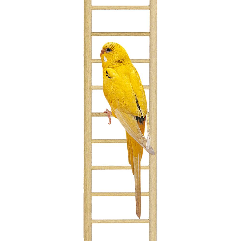 Ferplast - Accessoires cages oiseaux Ferplast Échelle bois exercice - Image 2