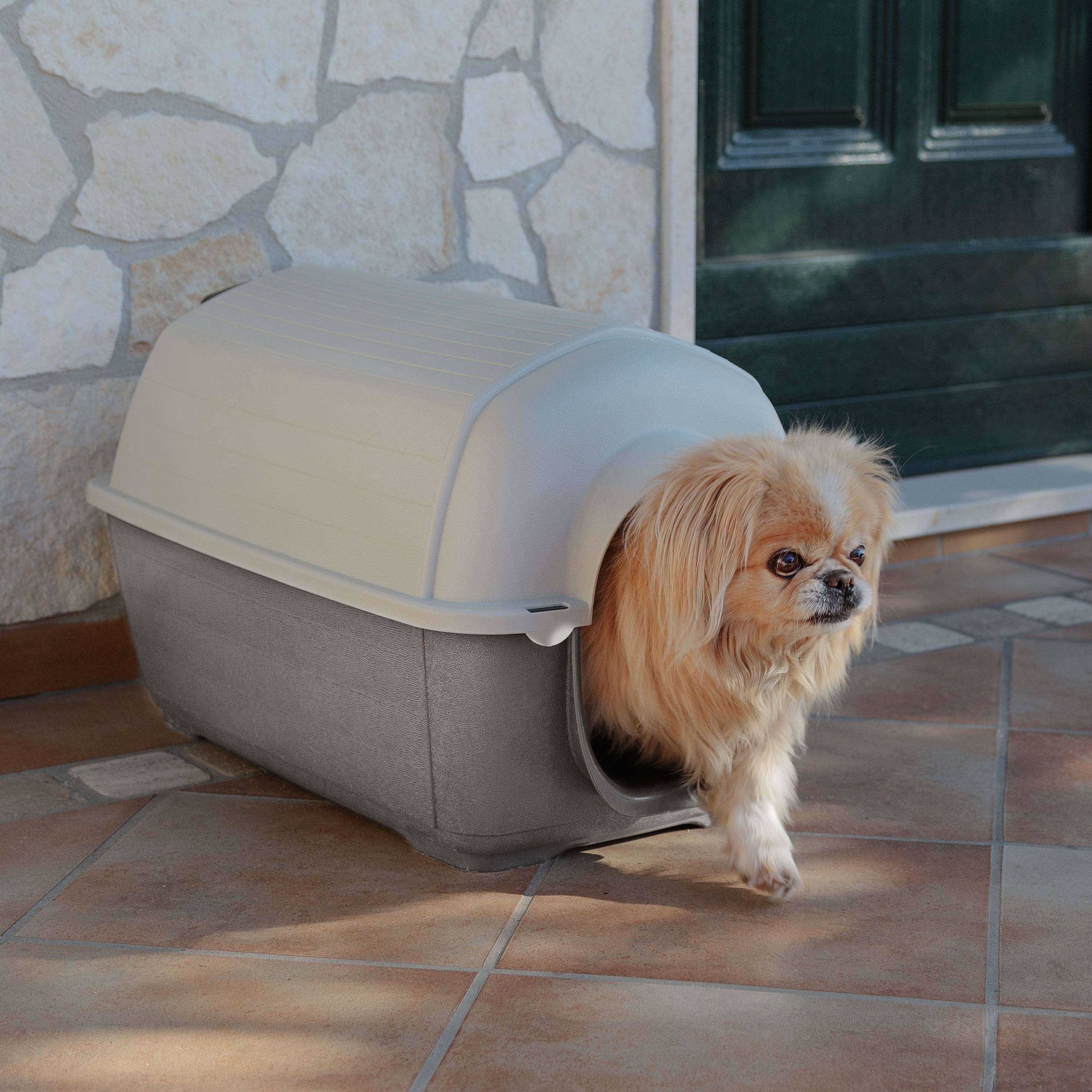 Ferplast - Ferplast Caseta exterior para perros KENNY MINI, hábitat para perros en resina termo-plástica, resistente a los golpes y rayos UV, sistema de - Imagen 3