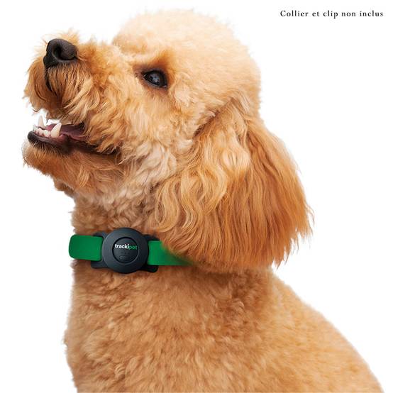 Traceur GPS Trackipet pour chiens avec abonnement Datas de 3 mois inclus - IP67 - Connectivité 24h/24 et 7j/7 - Image 7