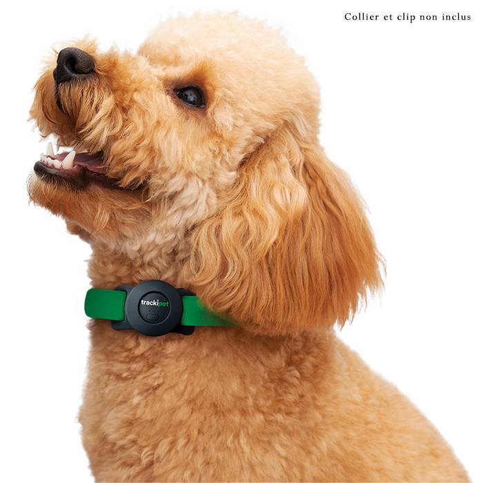 Traceur GPS Trackipet pour chiens avec abonnement Datas de 3 mois inclus - IP67 - Connectivité 24h/24 et 7j/7 - Image 7