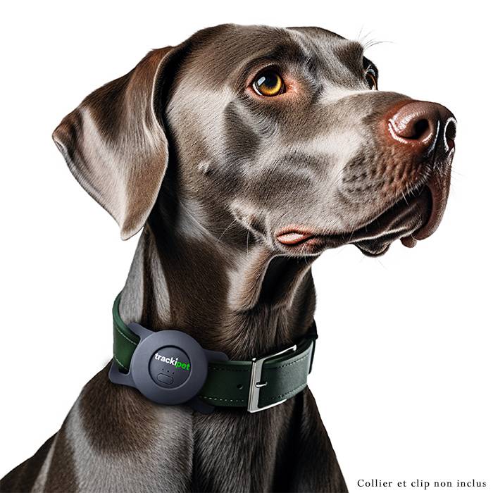 Traceur GPS Trackipet pour chiens avec abonnement Datas de 3 mois inclus - IP67 - Connectivité 24h/24 et 7j/7 - Image 5