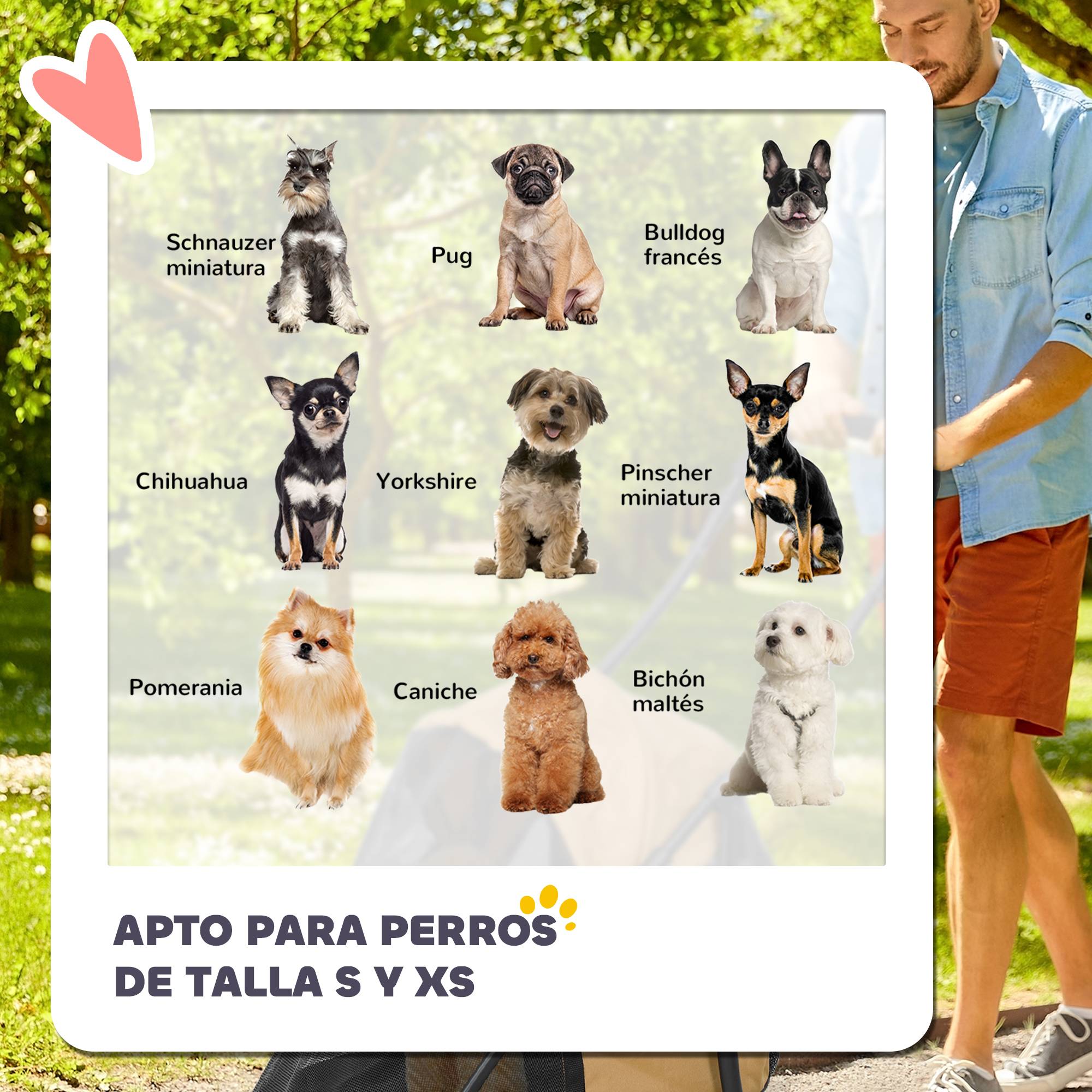 Poussette pliable pour petit chien avec fenêtres en filet, coussin lavable, sangles de sécurité et cadre en acier, couleur café - Image 9