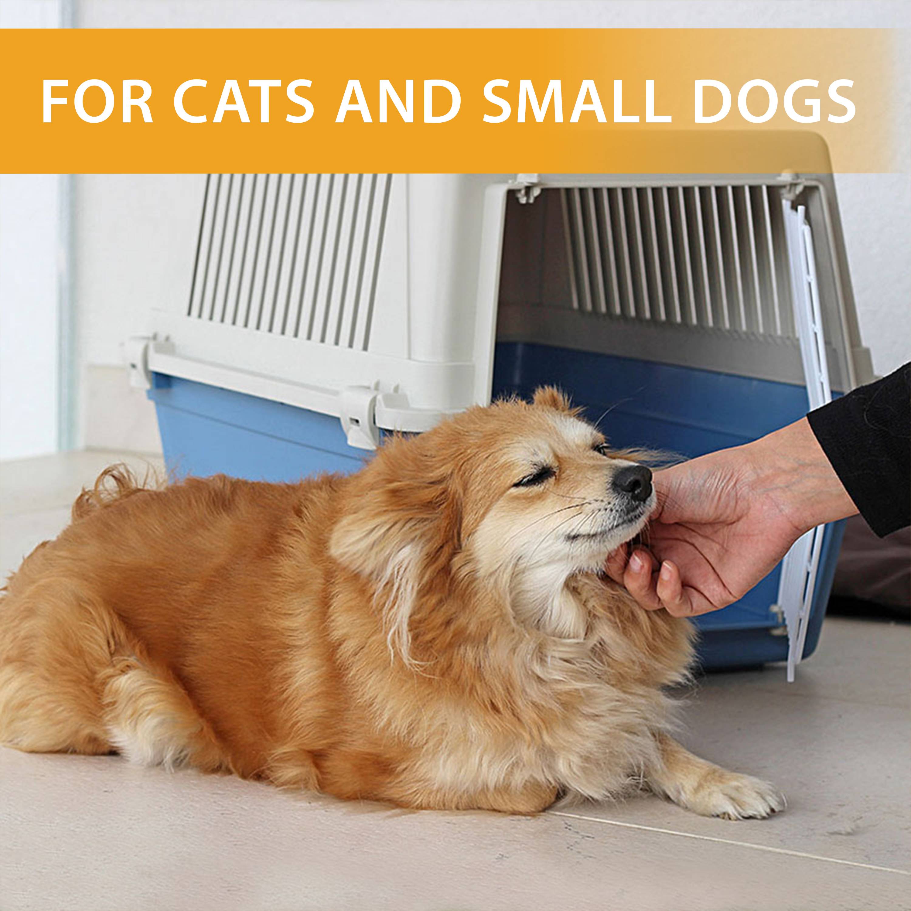 Ferplast - Ferplast Caisse de Transport Chat, Cage de Transport pour Chiens Petits Moyens et Chats jusqu'à 15 Kg, Porte en Fer Plastifié, Fentes d'aération, 40 x - Imagen 3