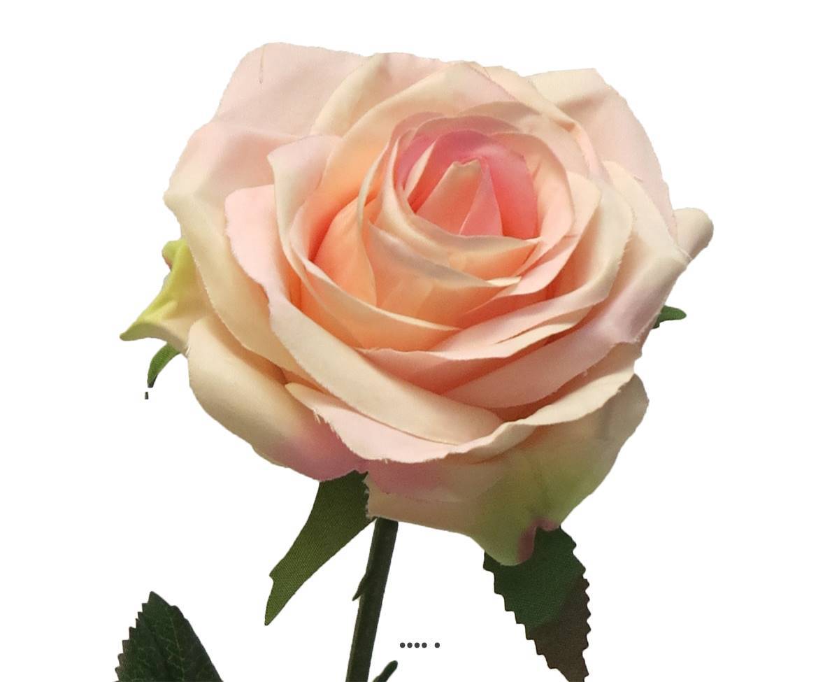 Artificielles - Rose factice Paris H64 cm tête D9cm 12 feuilles tissu Rose pâle - BEST - couleur: Rose pâle - Imagen 3