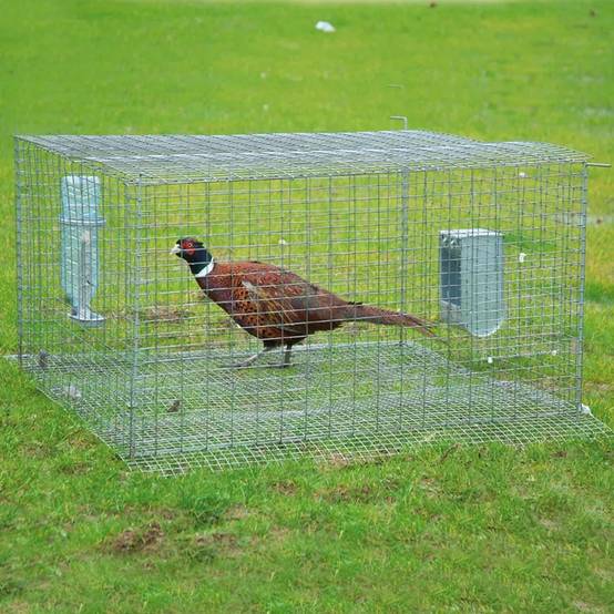 Cage de pré-lâcher galvanisée thermolaquée vert - Image 1