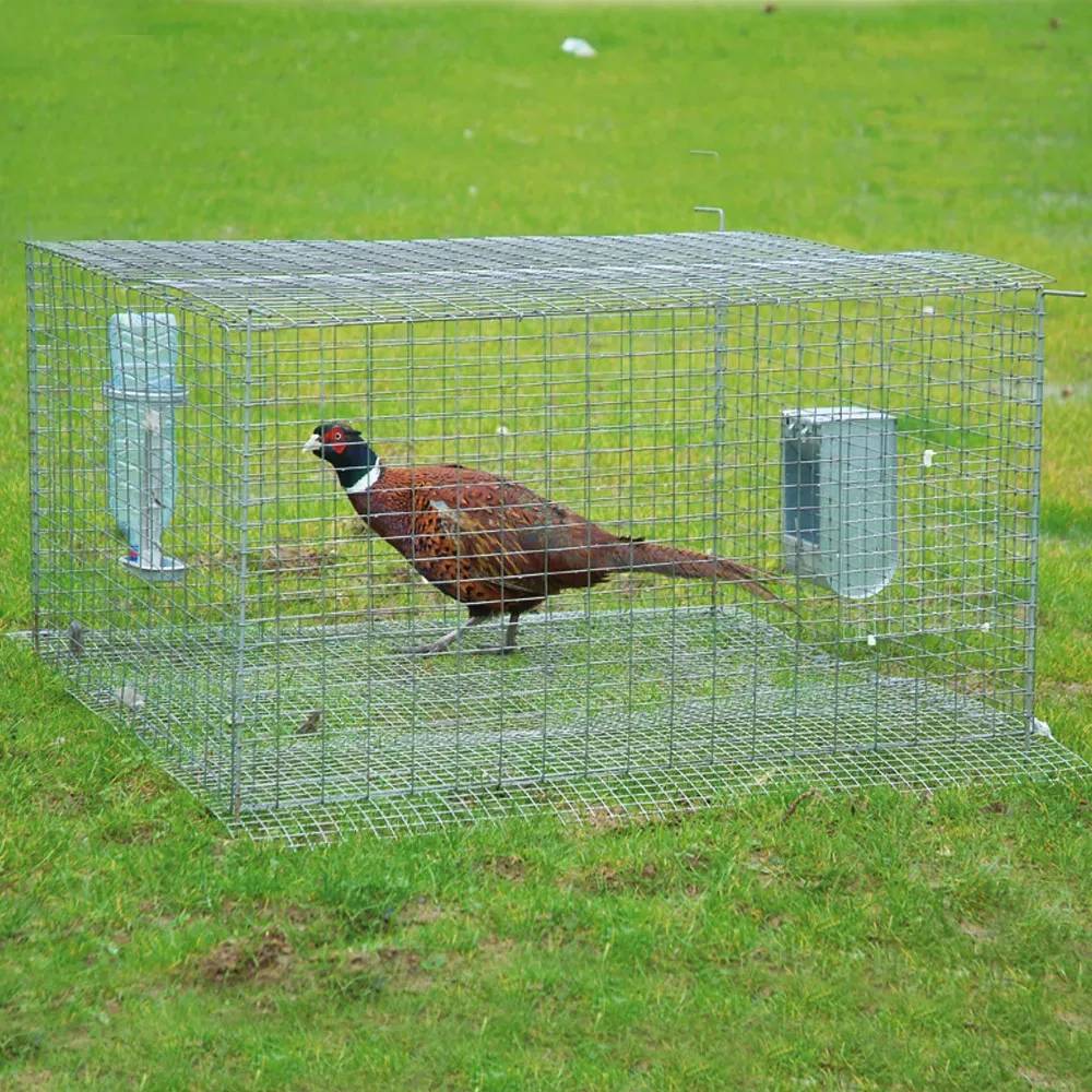 Cage de pré-lâcher galvanisée thermolaquée vert - Image 1