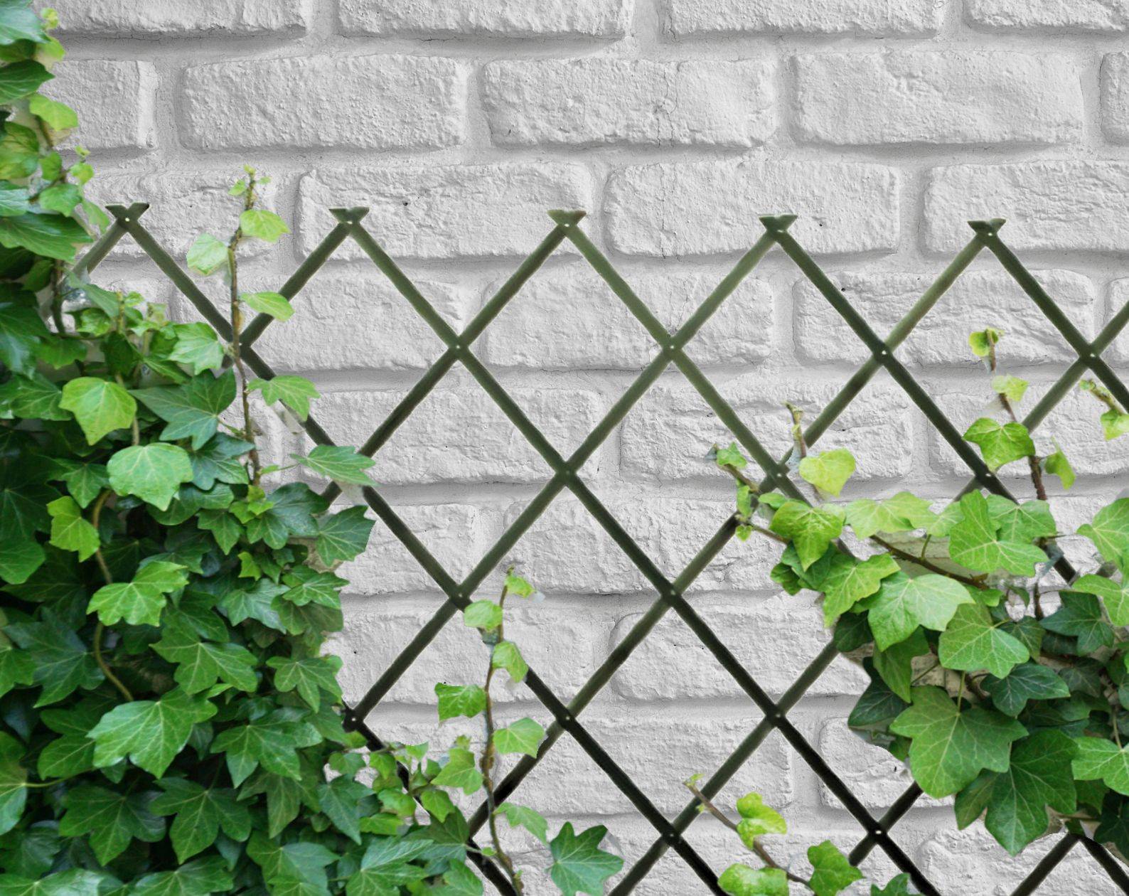 Comercial Candela - Treillis Bois| Vert| 100% Bois Pin| 1X2M| Gardien Des Plantes| Résistant| Decoration Jardin - Imagen 9