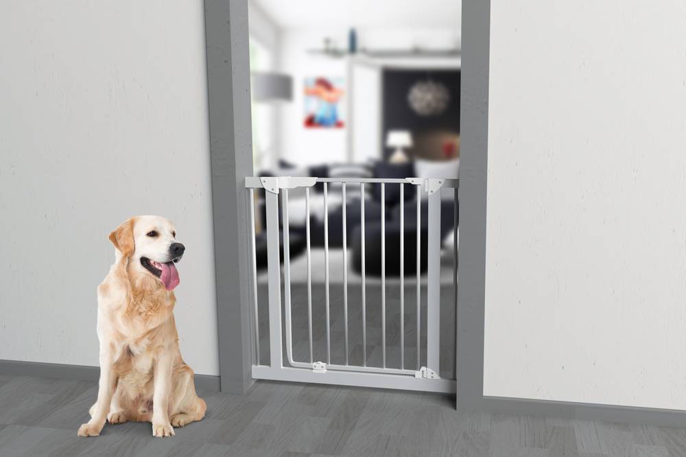 Nordlinger - NORDLINGER PRO Barrière en métal Misty - Pour chien - Imagen 3
