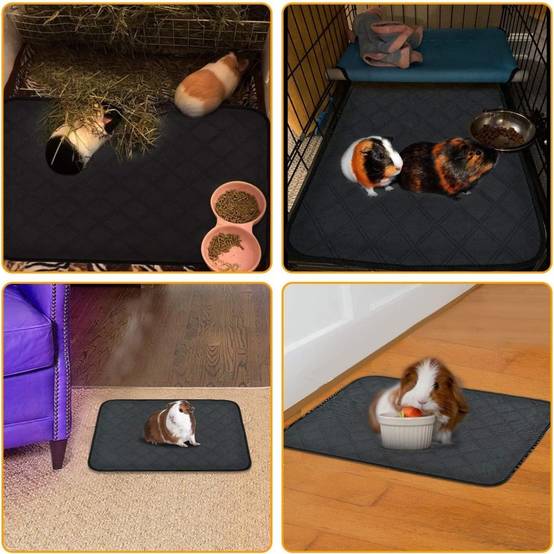 Tapis pour Cochon d'Inde Lapin Nain Chinchilla Hérisson DtopbuyAge - Image 4