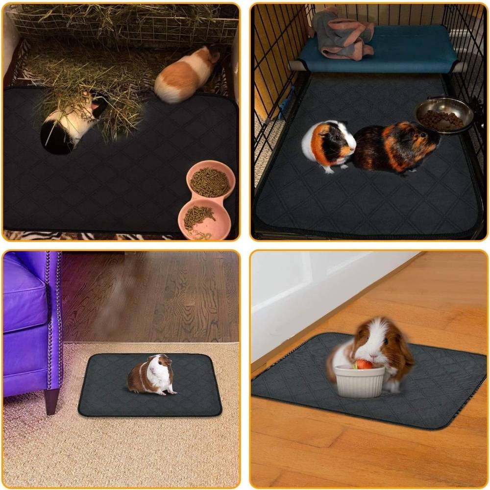 Tapis pour Cochon d'Inde Lapin Nain Chinchilla Hérisson DtopbuyAge - Image 4