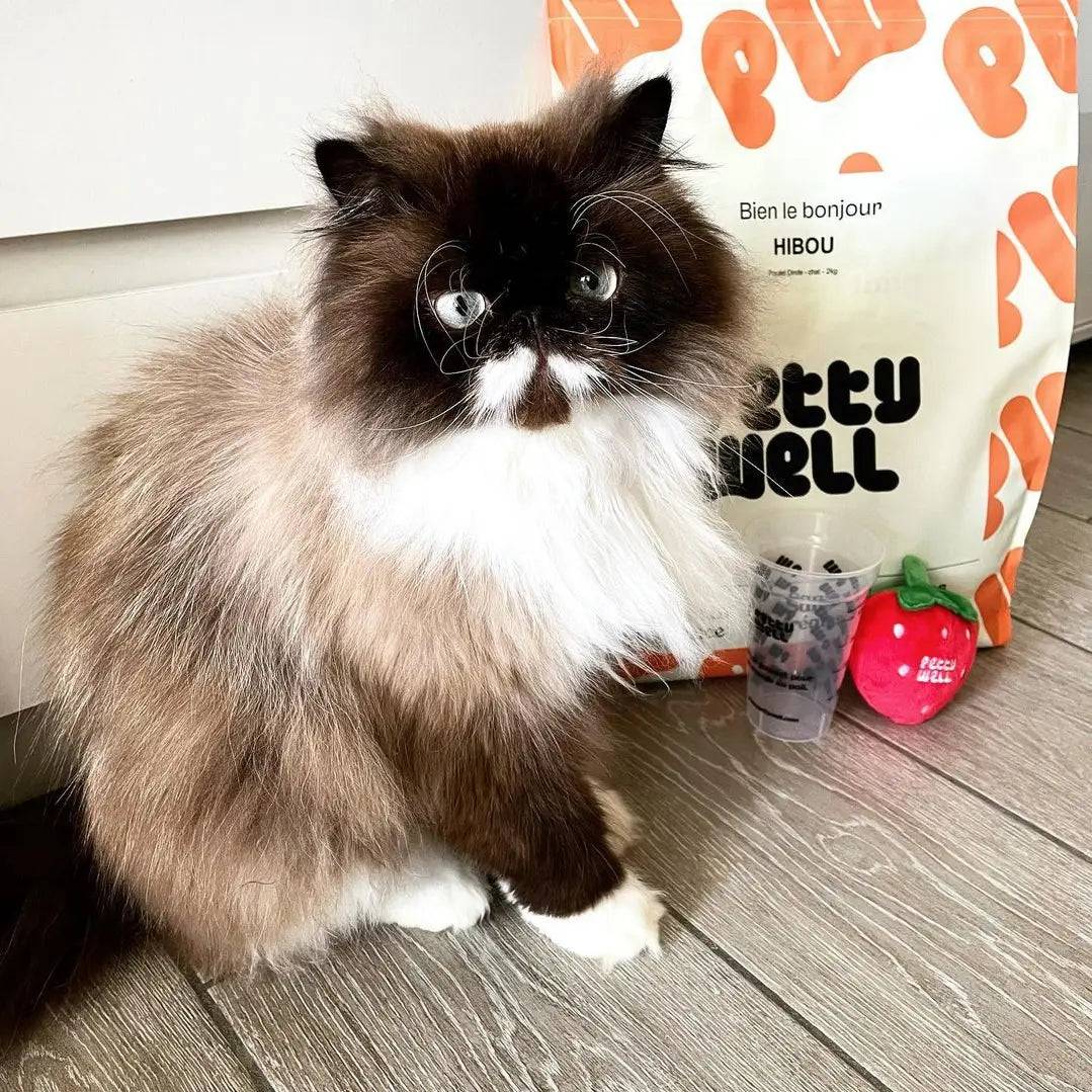 Petty Well - Croquettes Sans Céréales Saumon & Thon pour Chat - Imagen 3