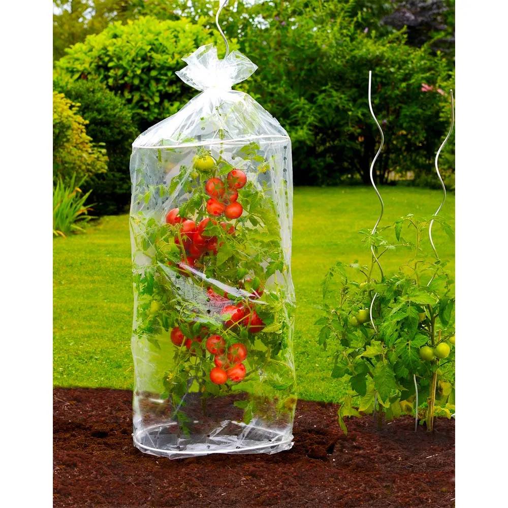 Autre - Housse pour tomates 2 pièces