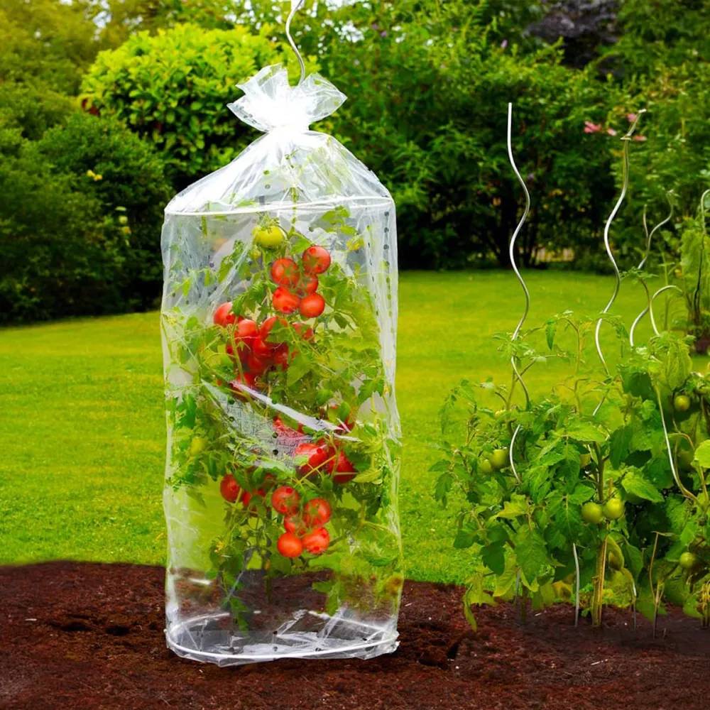 Autre - Housse pour tomates 2 pièces - Image 5