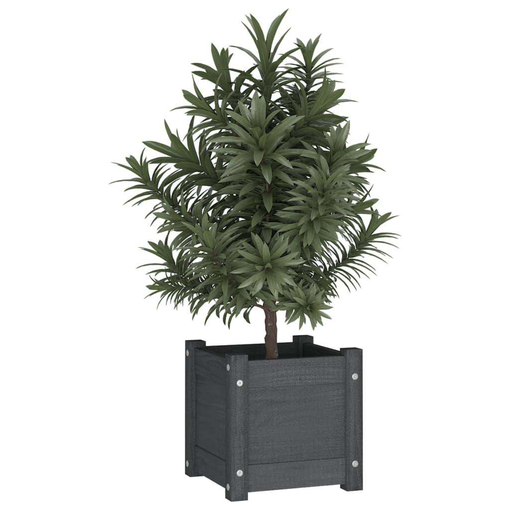 Vidaxl - Jardinières d'extérieur 2 pcs Gris 31x31x31 cm Bois de pin vidaXL 810527 - Image 4