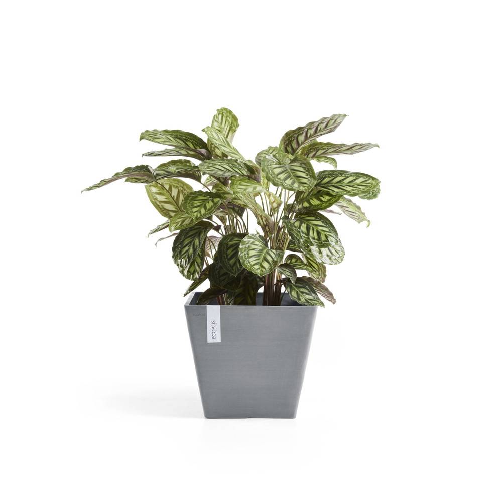 Ecopots - Pot Carré Rotterdam 50 Bleu Gris - 50 x 50 x H. 44 cm - 75 L ECOPOTS - Imagen 3