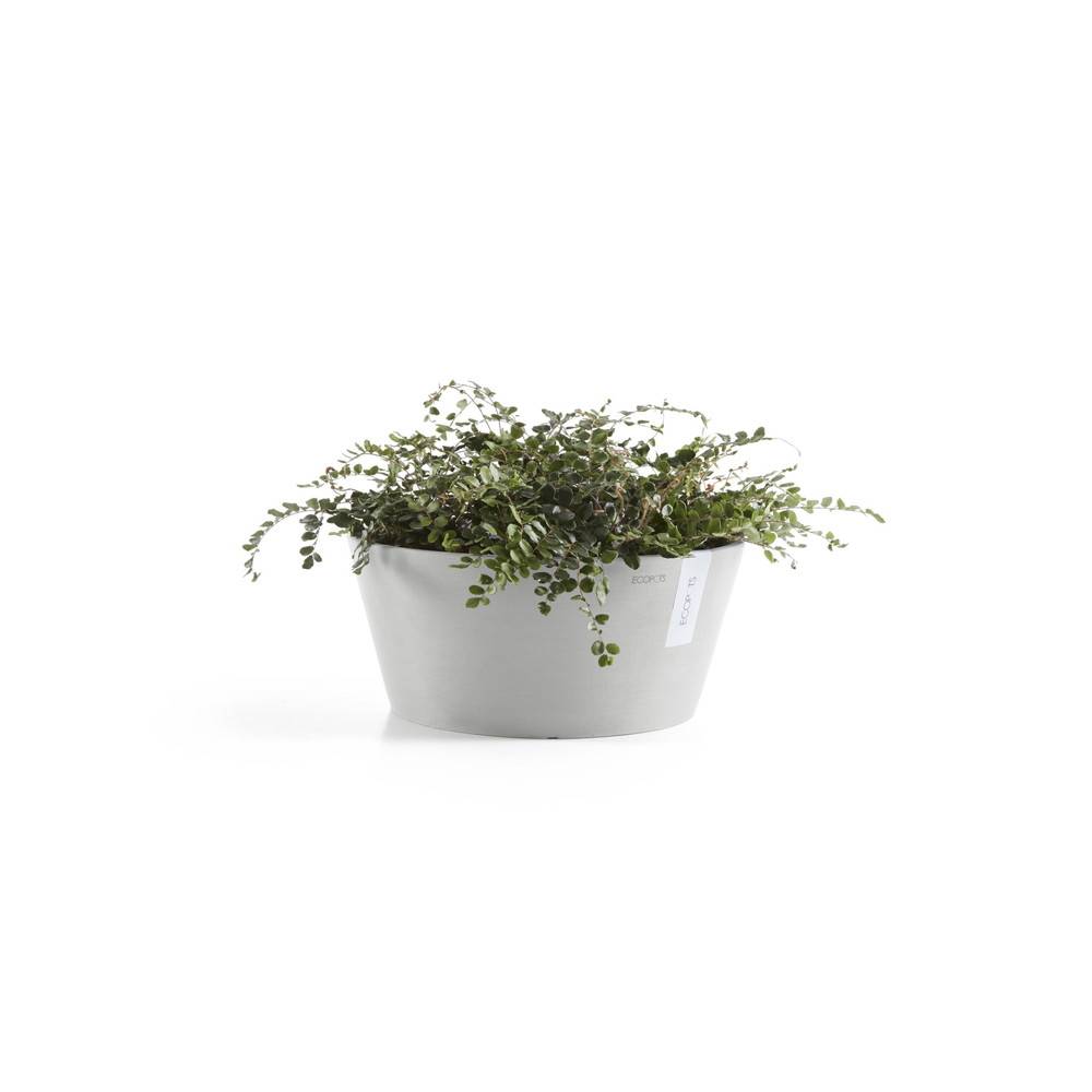 Ecopots - Pot Rond Frankfurt 30 Blanc Gris - Ø 30,5 x H. 15 cm - 8 L ECOPOTS - Imagen 2