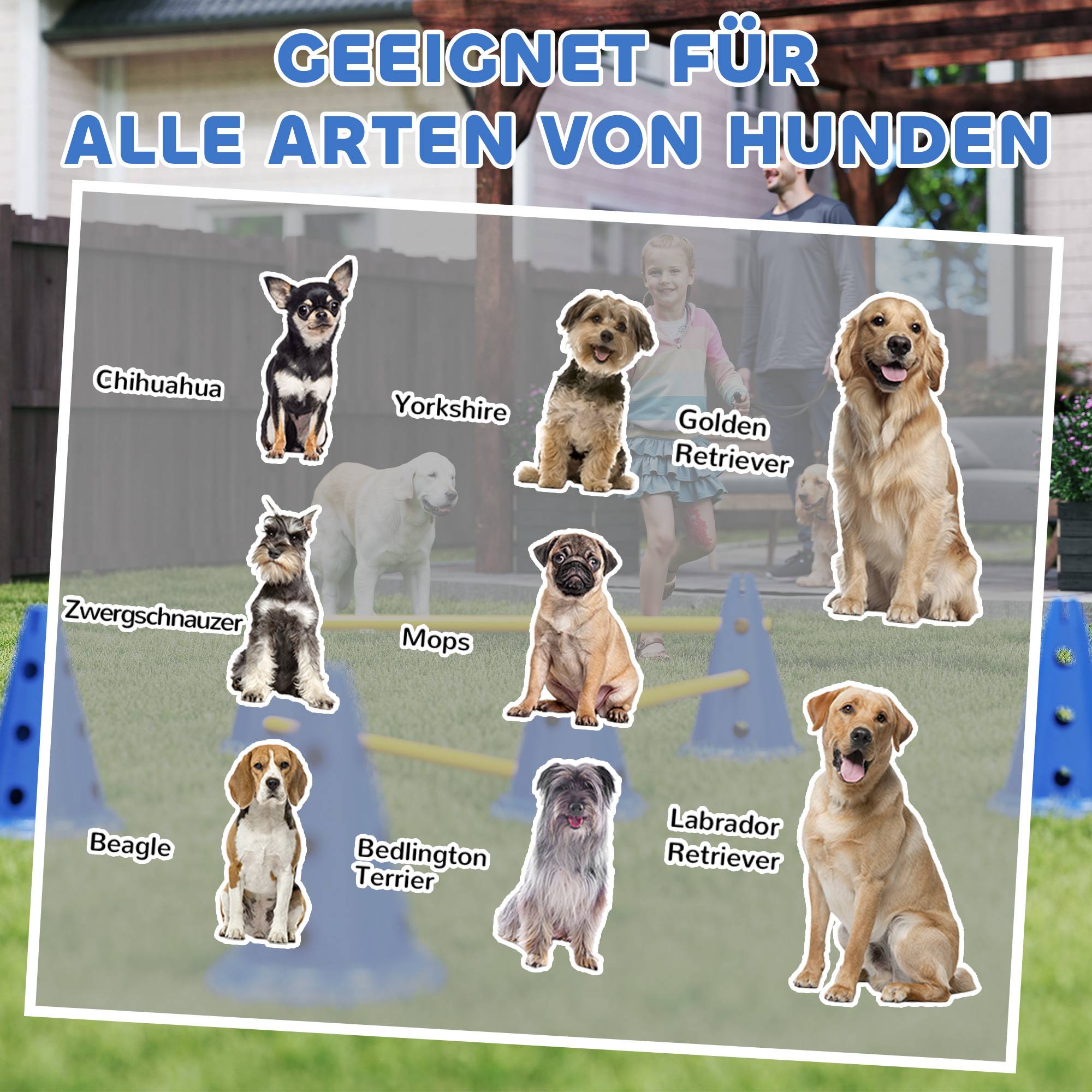 Kit d'agilité pour chien plastique ABS multicolores 80 x 22.5 x 30 cm - PANGIVO - Image 10