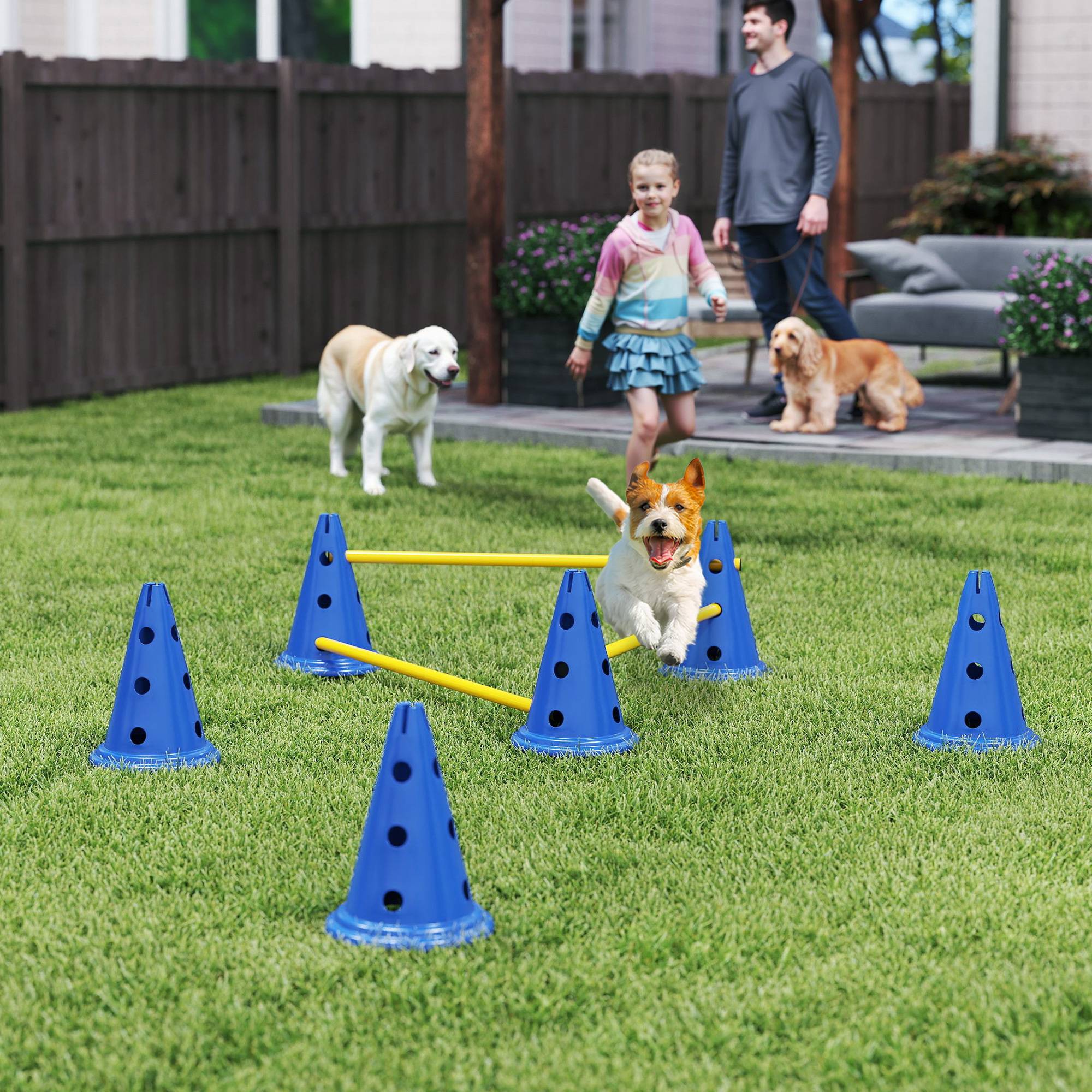 Kit d'agilité pour chien plastique ABS multicolores 80 x 22.5 x 30 cm - PANGIVO - Image 3