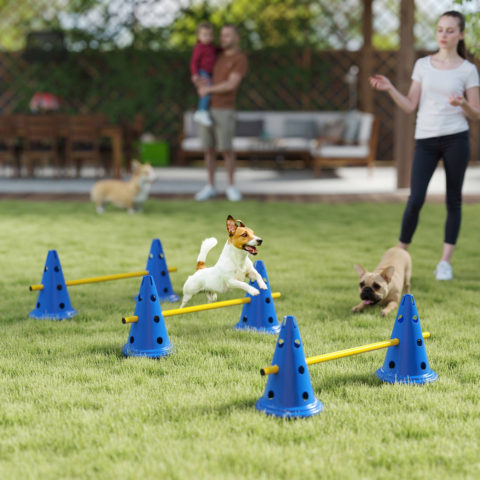 Kit d'agilité pour chien plastique ABS multicolores 80 x 22.5 x 30 cm - PANGIVO - Image 4