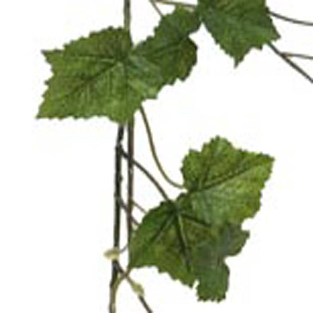 Artificielles - Guirlande de vigne artificielle 180cm de long feuilles vertes - Imagen 2