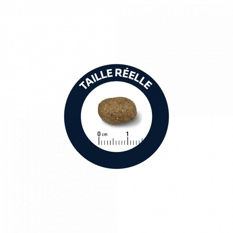 CROQUETTES CHIEN SENSITIVE AGNEAU RIZ - ADVANCE 12 kg - Imagen 2