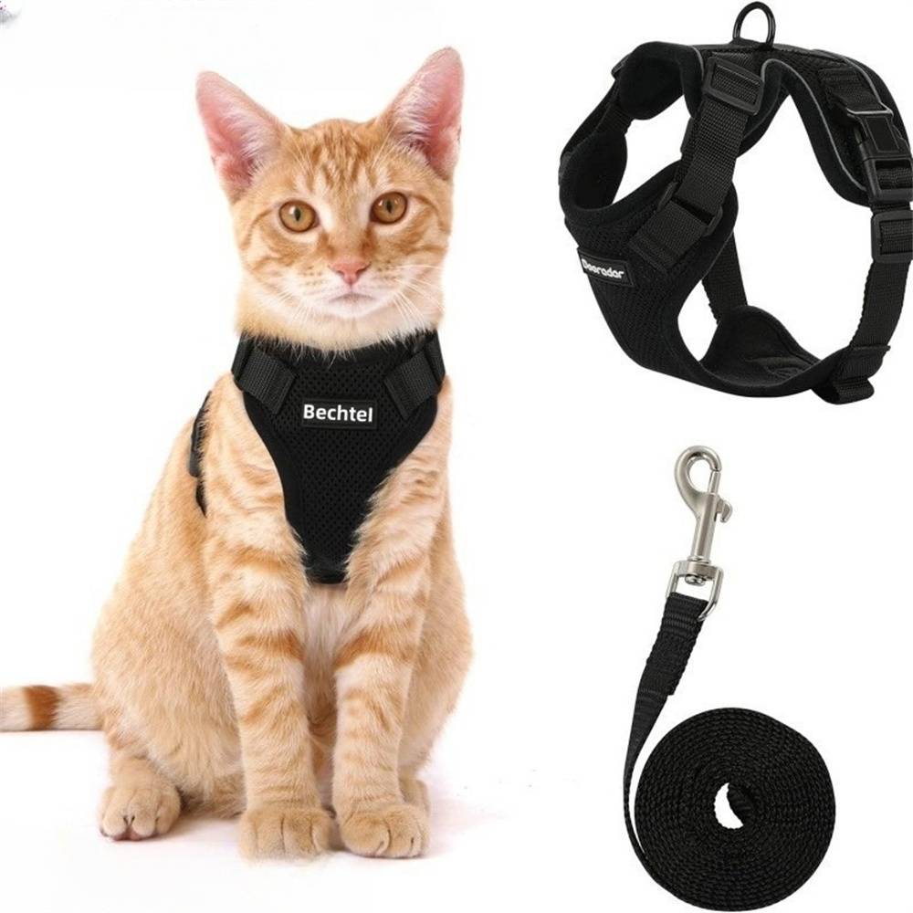 Lytech - Harnais et Laisse pour Chat Taille XS - Sécurité Anti-Fuite et Confort Respirant - Lytech