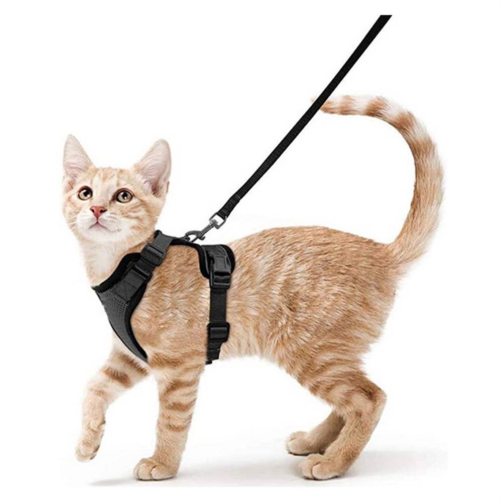 Harnais réglable pour Chat - Anti-éclatement - avec Laisse - Harnais