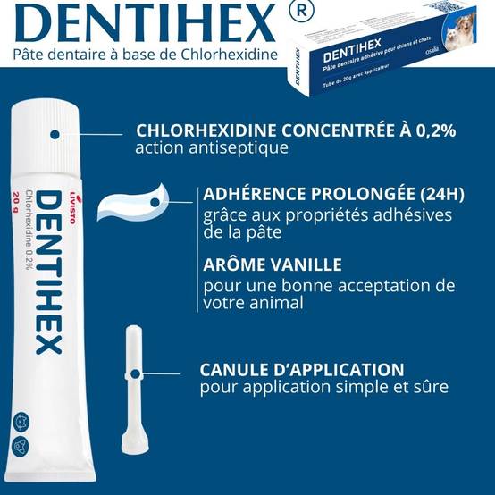 Dentihex Avec Applicateur 60 - Image 3
