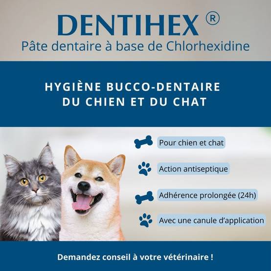 Dentihex Avec Applicateur 60 - Image 2