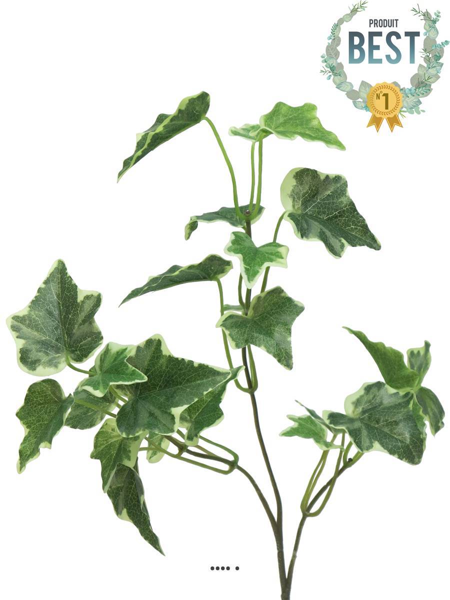 Artificielles - Lierre artificiel en piquet H 55 cm 24 feuilles Panaché - BEST - couleur: Blanc-vert - Imagen 1