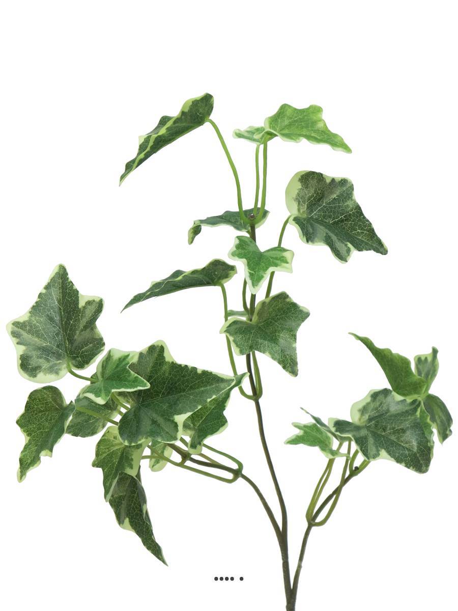 Artificielles - Lierre artificiel en piquet H 55 cm 24 feuilles Panaché - BEST - couleur: Blanc-vert - Imagen 2