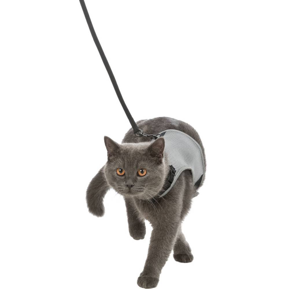 Trixie - Trixie - Harnais soft avec laisse de 1,20m Tour de ventre: 24-42 cm Couleurs aléatoires pour chat - Imagen 3