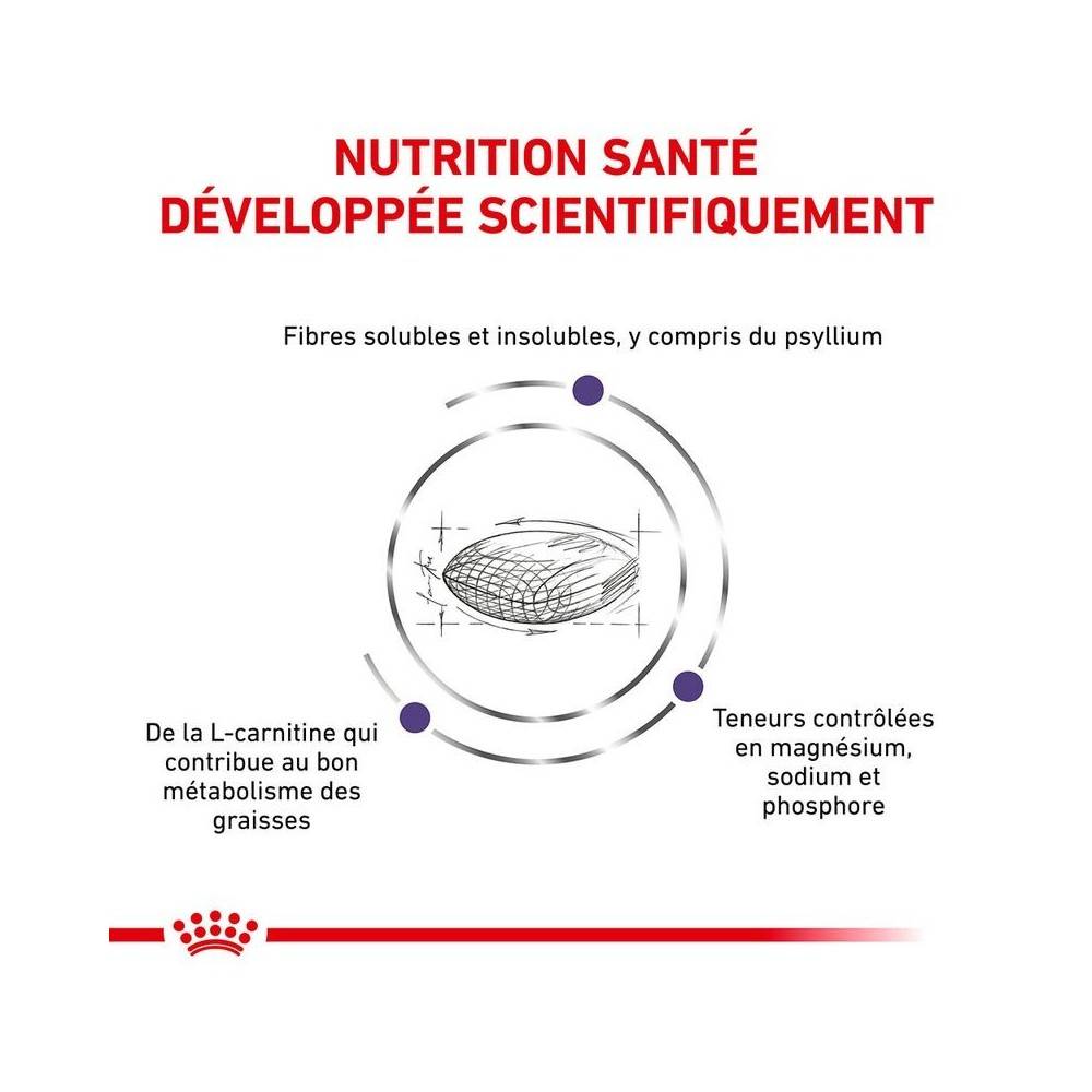 Royal Canin - Croquettes chat VETERINARY CAT NEUTERED SATIETY BALANCE - Royal Canin 12 kg - Imagen 4