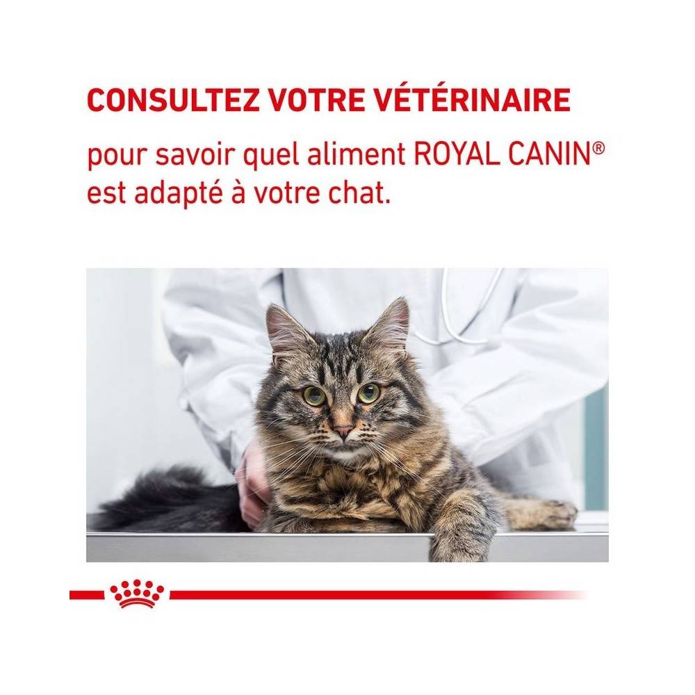 Royal Canin - Croquettes chat VETERINARY CAT NEUTERED SATIETY BALANCE - Royal Canin 12 kg - Imagen 7