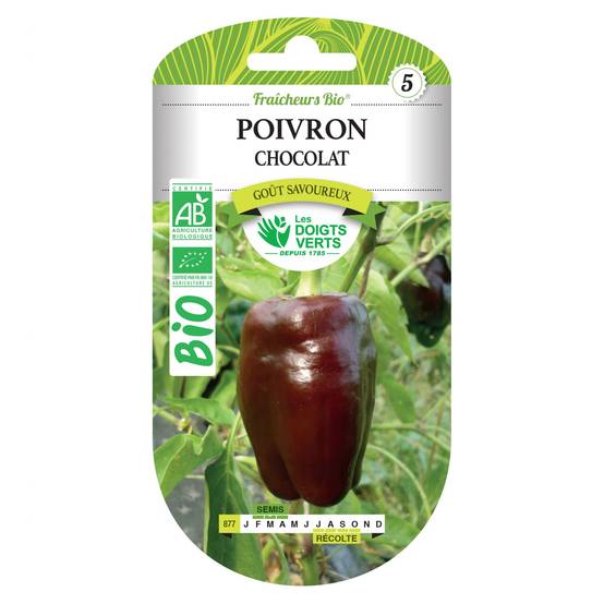 Graines poivron chocolat BIO Les Doigts Verts - Image 1