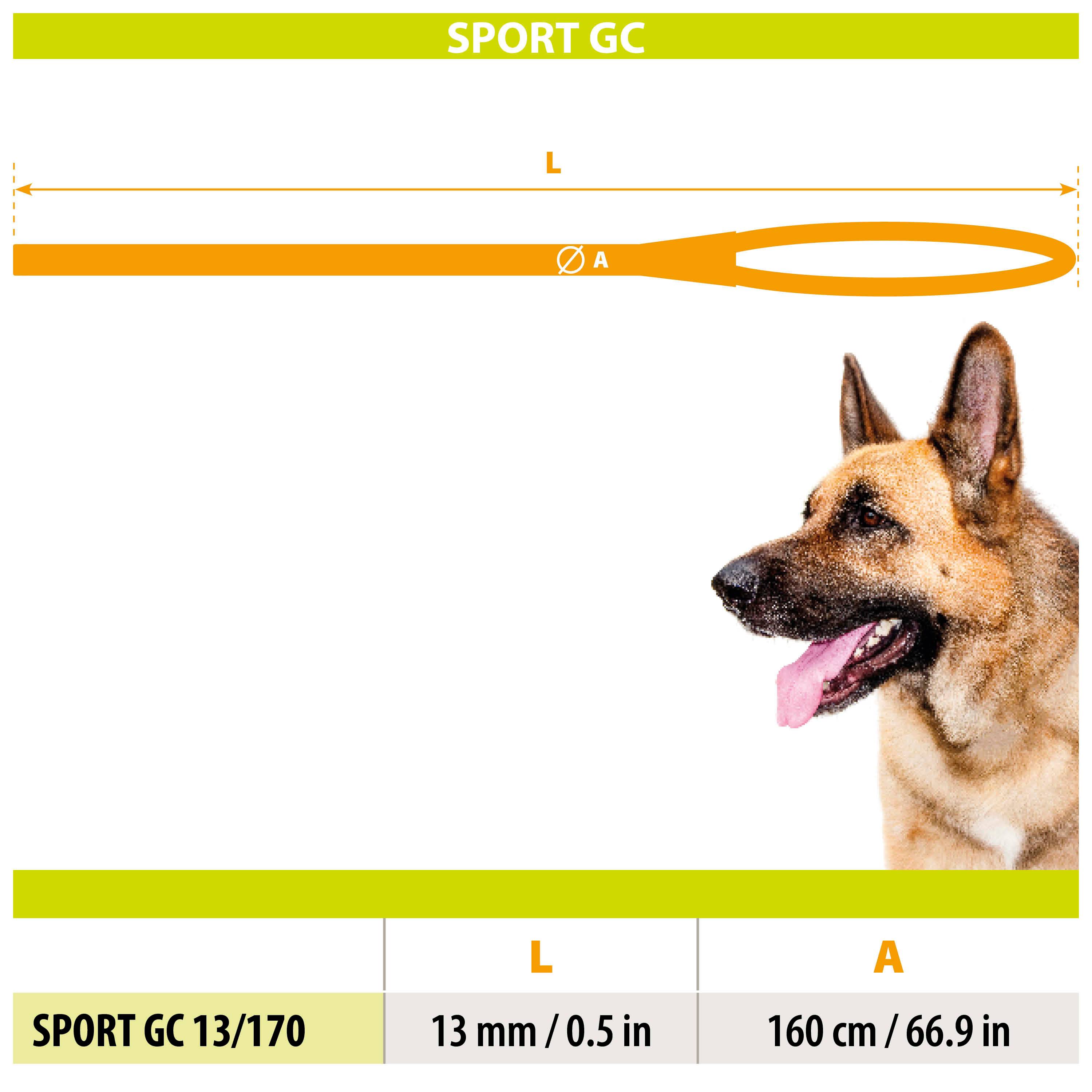 Ferplast - Ferplast Laisse et Collier pour Chien SPORT REFLEX, Laisse réfléchissante avec Collier semi etrangleur Ajustable, en cordon en nylon, Laisse avec - Imagen 2