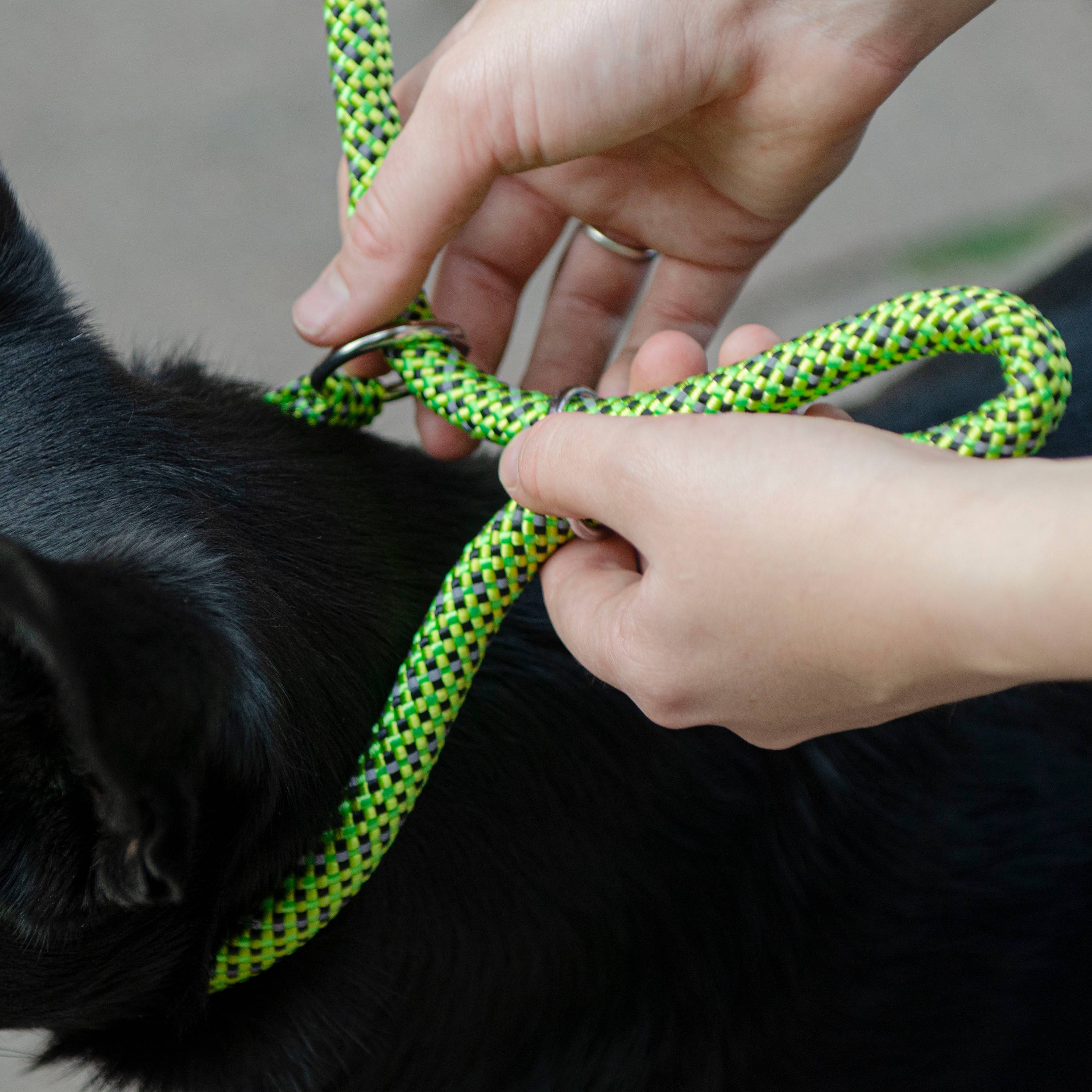 Ferplast - Ferplast Laisse et Collier pour Chien SPORT REFLEX, Laisse réfléchissante avec Collier semi etrangleur Ajustable, en cordon en nylon, Laisse avec - Imagen 6