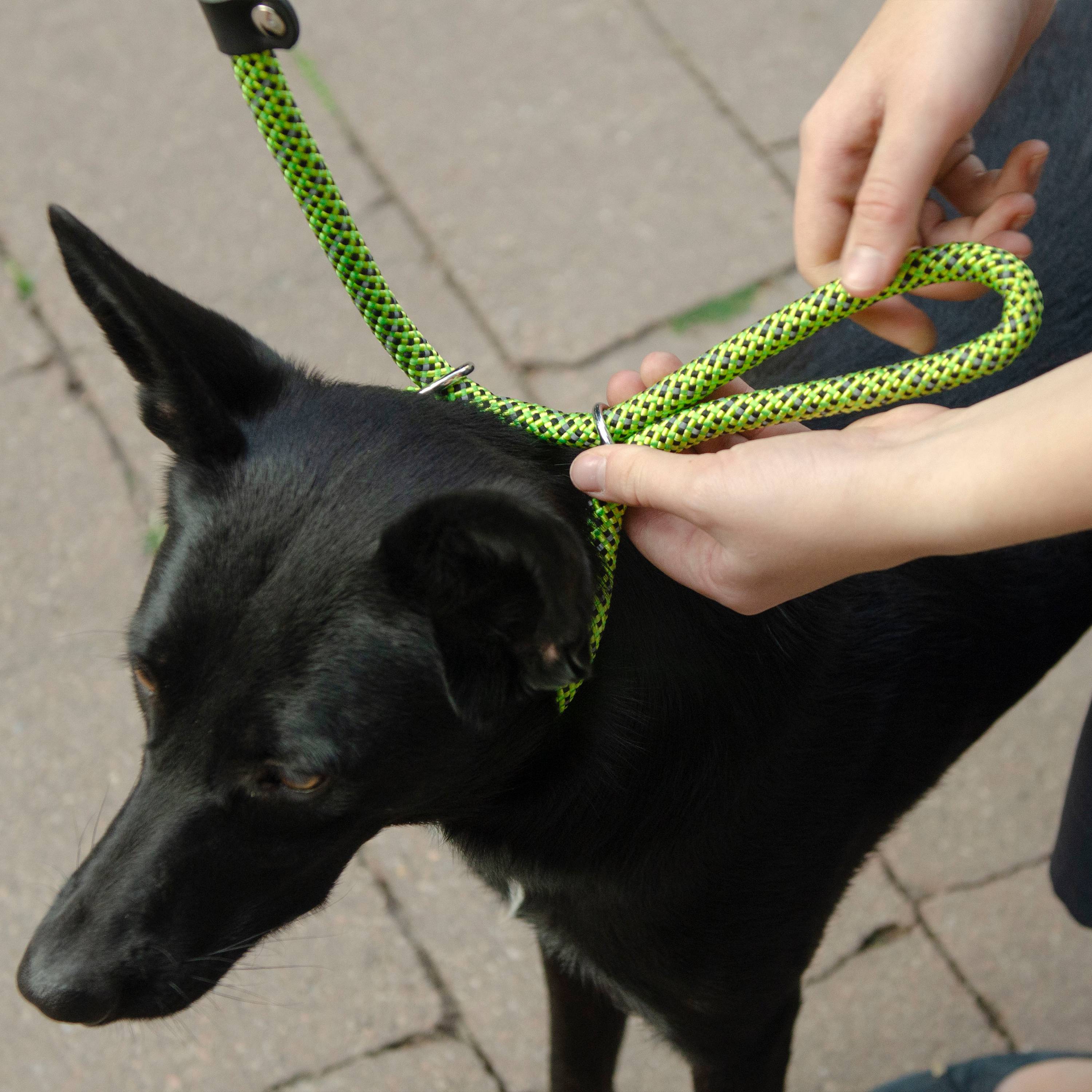 Ferplast - Ferplast Laisse et Collier pour Chien SPORT REFLEX, Laisse réfléchissante avec Collier semi etrangleur Ajustable, en cordon en nylon, Laisse avec - Imagen 3
